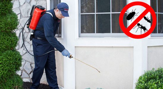 Lalapaşa Fare İlaçlama böcek ilaçlama ve haşere kontrolü — ilaclama-tr.com